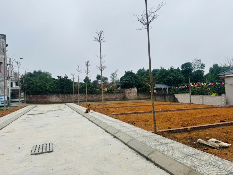 Bán lô  Phú Cát, tâm điểm hạ tầng đón sóng Hòa lạc