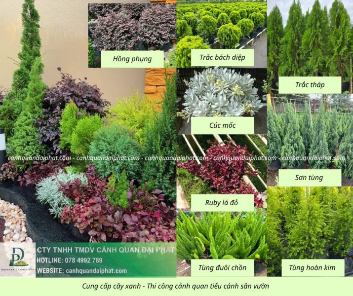 Thiết Kế Thi Công Tiểu Cảnh Sân Vườn Thảo Điền TP.HCM – Đẹp Hiện Đại, Đẳng Cấp