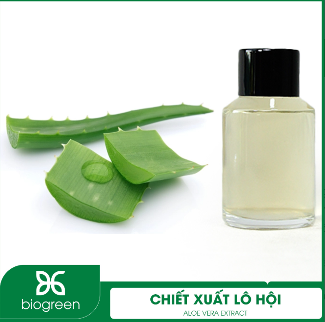 Cung cấp Chiết xuất Lô hội làm dịu, phục hồi làn da bị tổn thương