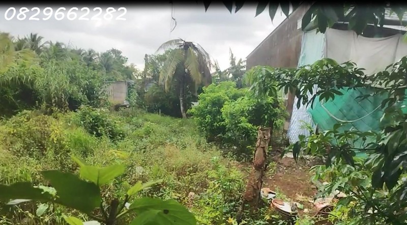 Bán Đất Sa Đéc 120m2 Đường Bà Lài, Sổ Hồng Hướng Đông Nam Chỉ 560 Triệu