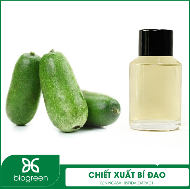 Cung cấp Chiết xuất Bí đao dưỡng ẩm, mờ thâm hiệu quả 