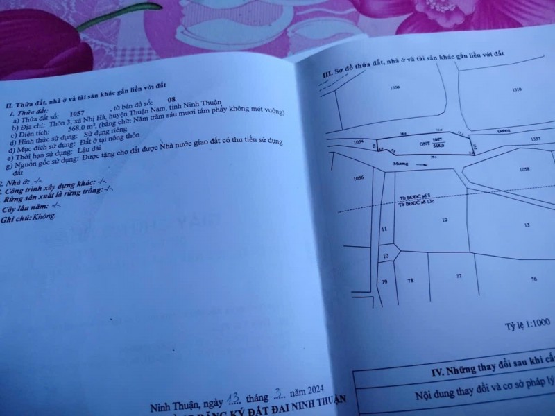 HOT HOT HOT – BÁN GẤP ĐẤT Tại Xã Nhị Hà, Huyện Thuận Nam, Tỉnh Ninh Thuận