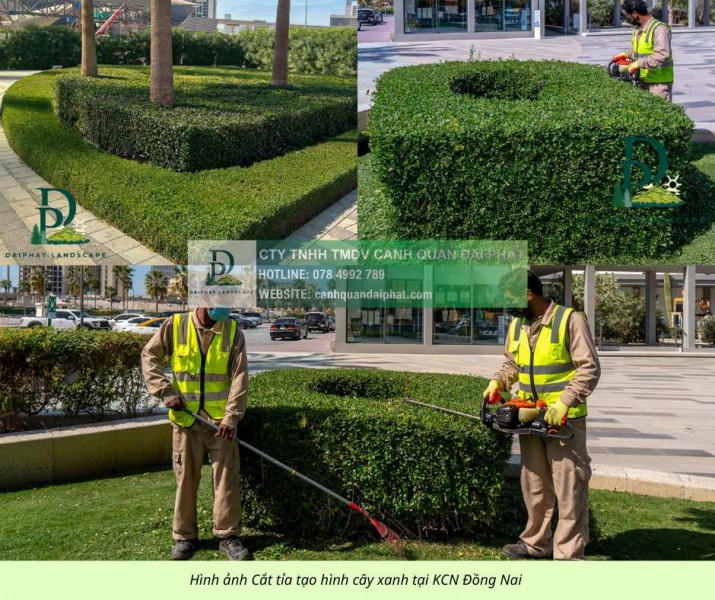 Dịch vụ cắt cỏ KCN Long Thành - Cưa cây định kỳ giá rẻ nhanh chóng