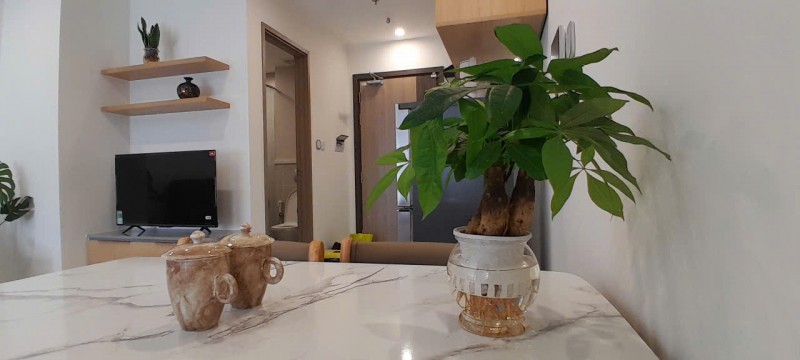 Căn hộ studio mới tại Vinhomes Grand Park