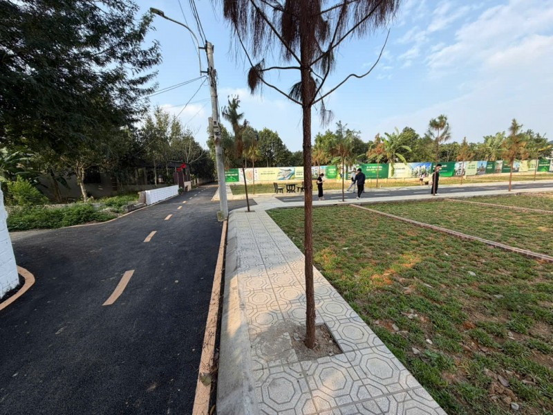 THANH KHOẢN GẤP LÔ ĐẤT RẺ HƠN LÔ BÊN CẠNH 300tr - HÒA LẠC