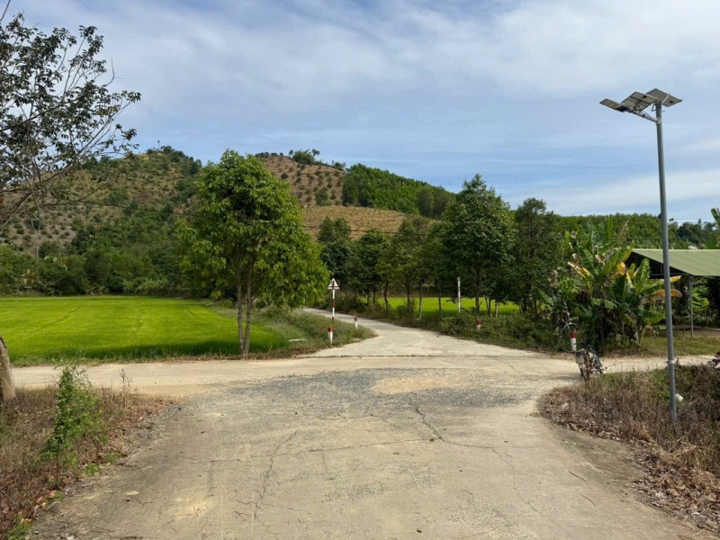 ĐẤT ĐẸP – GIÁ TỐT – CHÍNH CHỦ CẦN BÁN Tại Tiên Hoàng, H. Cát Tiên, T. Lâm Đồng