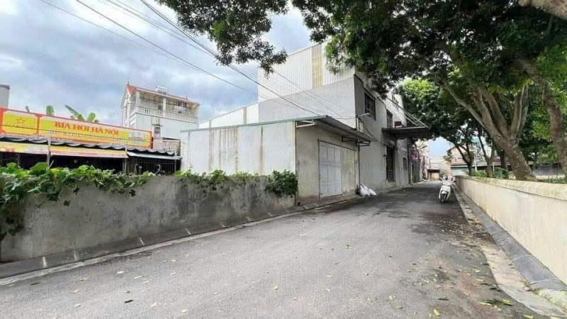 Bán đất đấu giá Mai Lâm- mặt tiền rộng- Oto tránh - Hàng xóm Vin Cổ Loa-75m nhỉnh 9 tỷ