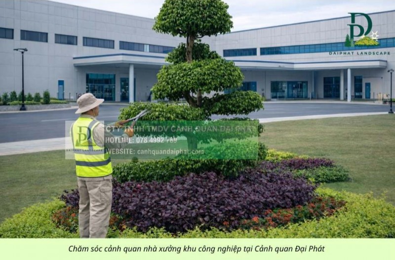 Dịch Vụ Cưa Cây, Cắt Cỏ Nhà Máy Tại KCN Amata Biên Hòa – An Toàn, Chuyên Nghiệp, Giá Tốt