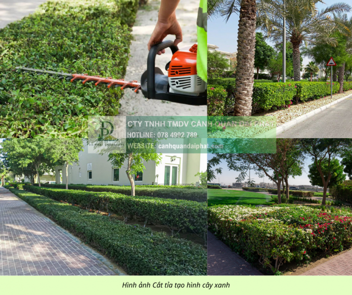 Dịch Vụ Chăm Sóc Cảnh Quan KCN Long Khánh KCN Sông Mây Chuyên Nghiệp, Giá Tốt