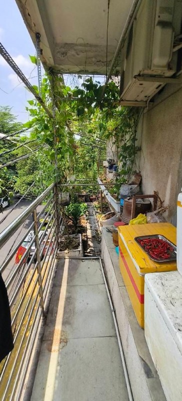 Bán căn hộ Nhiêu Lộc tầng thấp ,Tân Phú , lô góc 60m², 2PN, chỉ  2.9 tỷ TL