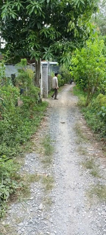 CHÍNH CHỦ CẦN BÁN LÔ ĐẤT CÓ VỊ TRÍ ĐẸP TẠI XẺO MUỒNG - XÃ MỸ LONG – H.CAO LÃNH - ĐỒNG PHÁP