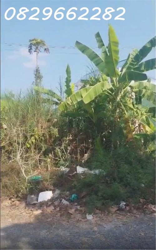 Chỉ 10 triệu/ m2, Sở Hữu Ngay Đất Thổ Cư Sổ Hồng Riêng 96m2 Đường Nhựa, KDC đường 853, Tân Phú