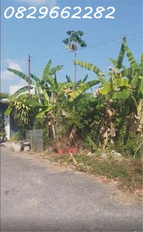 Chỉ 10 triệu/ m2, Sở Hữu Ngay Đất Thổ Cư Sổ Hồng Riêng 96m2 Đường Nhựa, KDC đường 853, Tân Phú