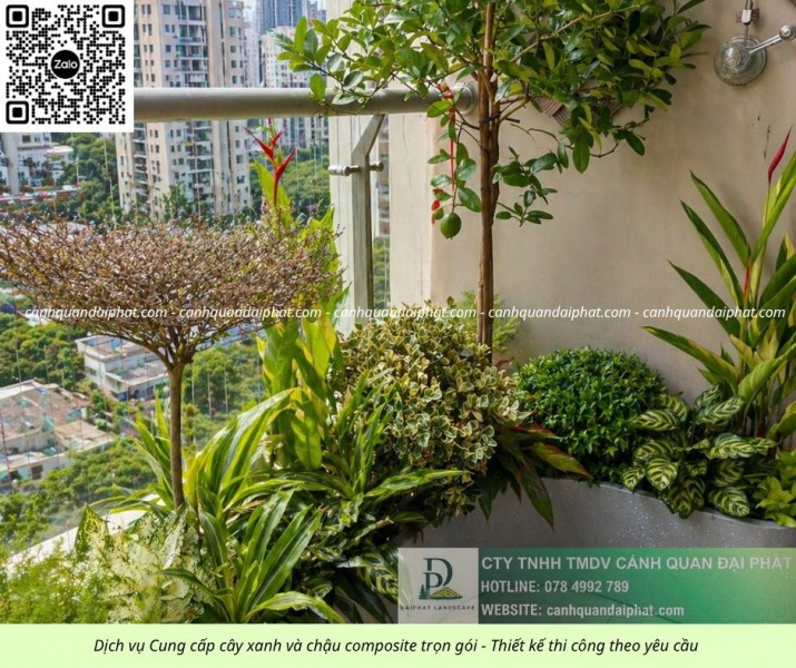 Thi công chậu Composite sân vườn giá rẻ tại TP.HCM trọn gói cây cảnh