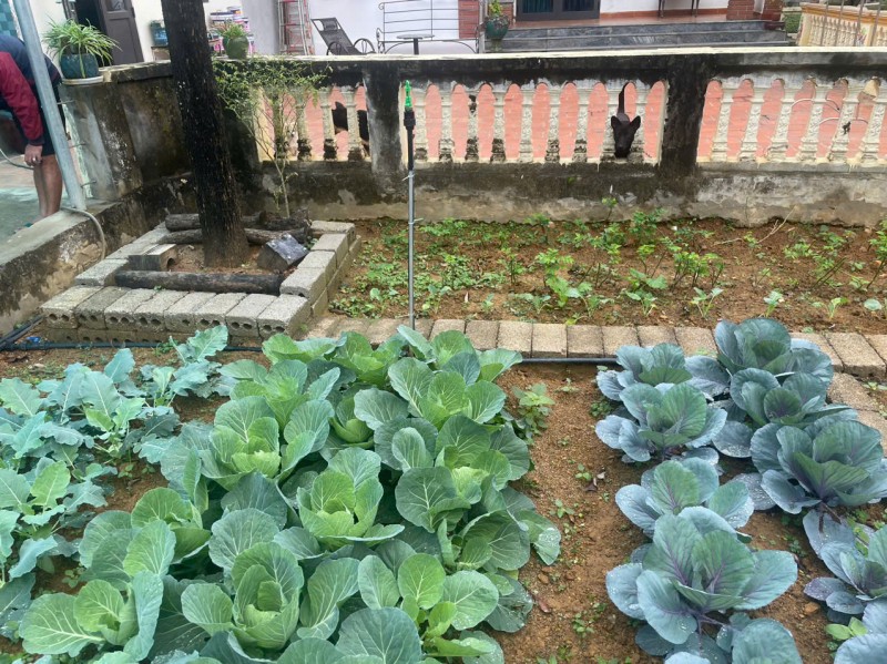 CHÍNH CHỦ BÁN GẤP – NHÀ VƯỜN HƠN 800m² – GIÁ NHỈNH 7 TỶ