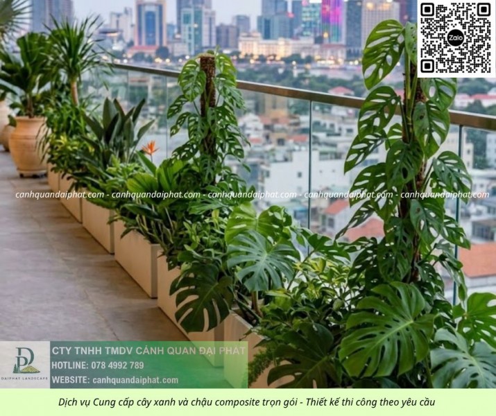 Thiết Kế Thi Công Bảo Dưỡng Cảnh Quan Doanh Nghiệp Tại Đồng Nai