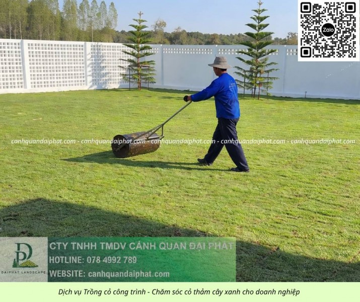 Trồng Cỏ Đồng Nai Giá Rẻ -Thi Công Nhanh, Cỏ Đẹp Bền