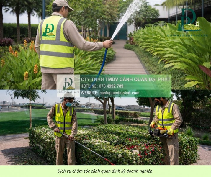 Dịch Vụ Cắt Cỏ Vệ Sinh Cảnh Quan KCN Biên Hòa Đồng Nai