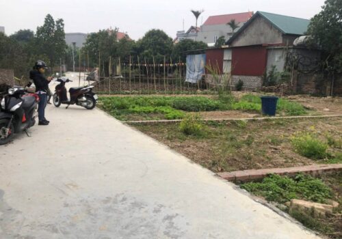 Chính chủ cần bán nhanh lô đất xã Cổ Bi, huyện Bình Giang, Hải Dương