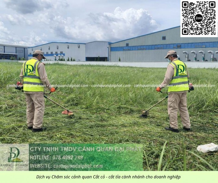 Bảo dưỡng cảnh quan nhà máy khu công nghệ cao Quận 9 Thủ Đức