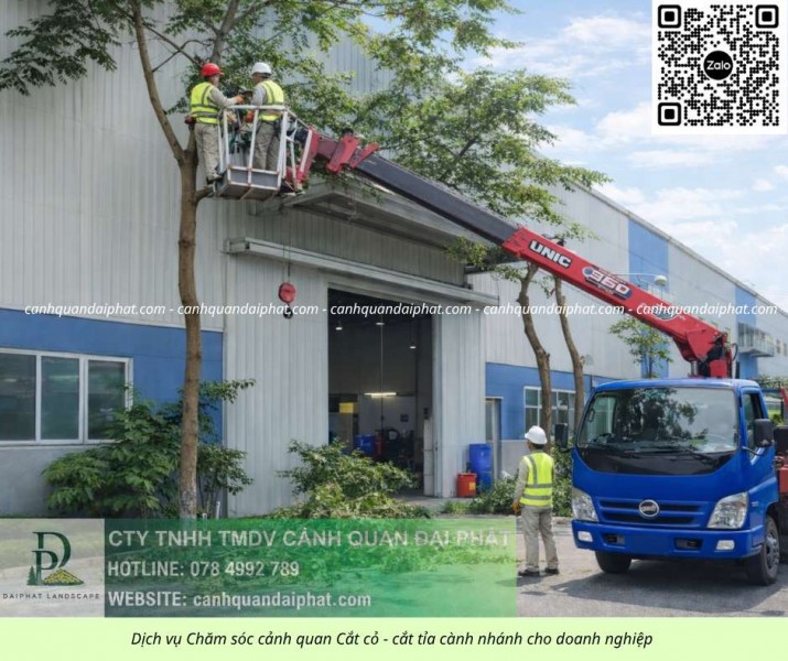 Dịch Vụ Cắt Cỏ, Cưa Cây Long Thành – Long Đức Đồng Nai Nhanh Gọn, An Toàn, Giá Tốt