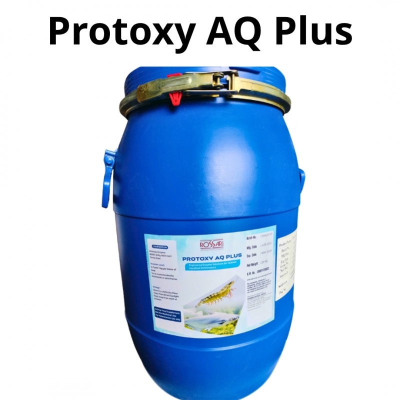PROTOXY AQ PLUS – Enzyme Protease Ấn Độ Hỗ Trợ Tiêu Hóa, Tăng Trưởng Tôm Cá