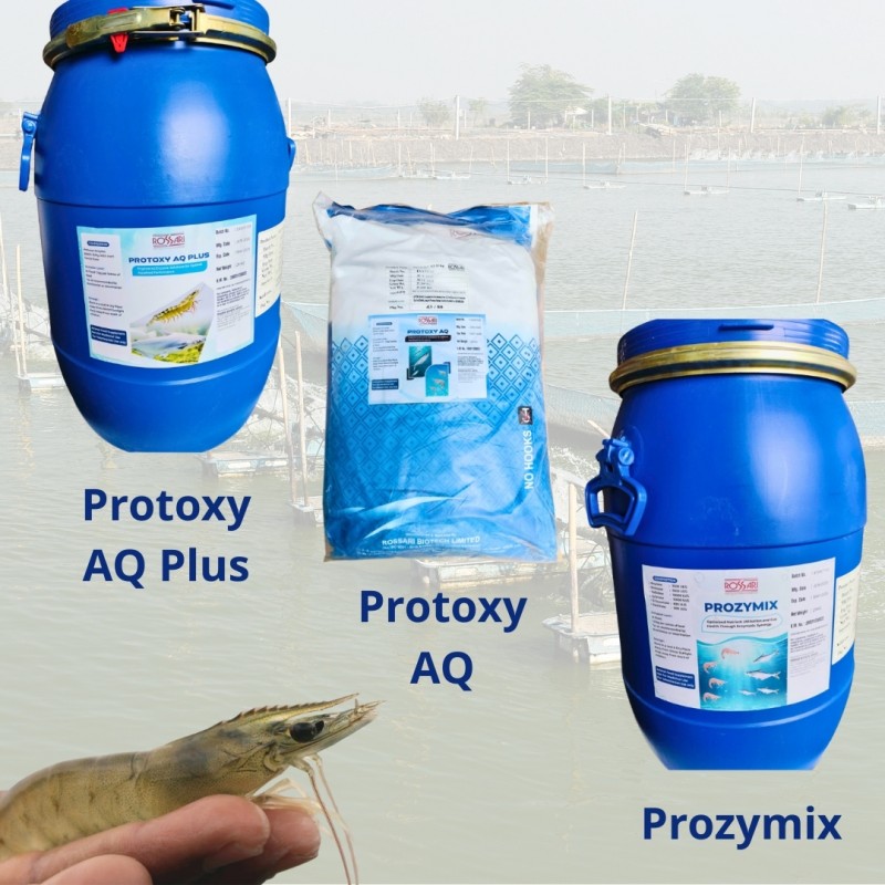 PROTOXY AQ PLUS – Enzyme Protease Ấn Độ Hỗ Trợ Tiêu Hóa, Tăng Trưởng Tôm Cá
