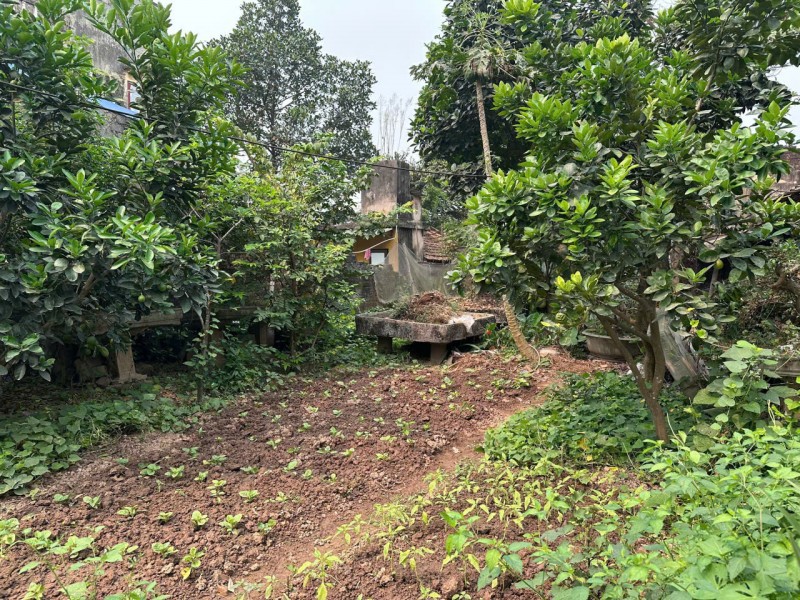 VỊ TRÍ ĐẸP - ĐẦU TƯ SINH LỜI - Chính Chủ Bán Lô Đất Tiềm Năng Phố Hoàng Văn Thụ, Xã Vân Đình, Hà Nội