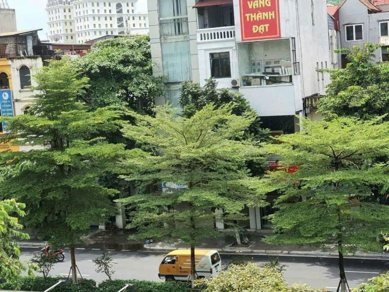 CHÍNH CHỦ CHO THUÊ NHÀ 5 TẦNG TẠI NGÕ 82 KIM MÃ, BA ĐÌNH, HÀ NỘI