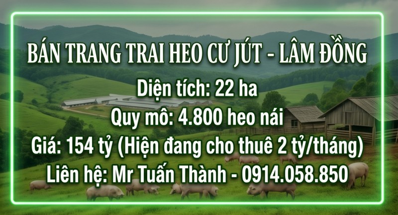 Siêu Trang Trại Heo 22ha - Thu Nhập cho thuê 24 Tỷ/Năm