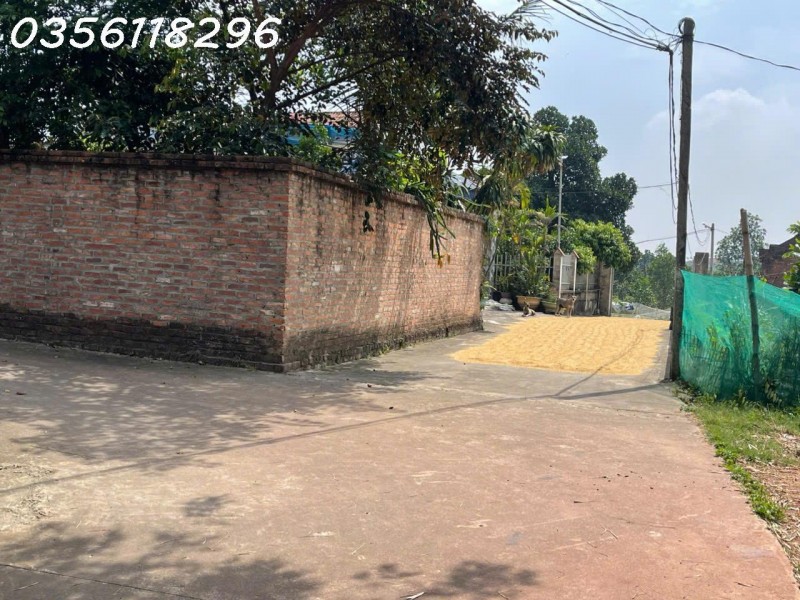Bán 730,8m2 Nam Lý, Bắc Sơn, Sóc Sơn, Hà Nội nhỉnh 5 tỷ
