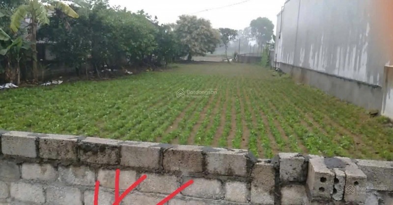 ĐẤT ĐẸP – GIÁ ĐẦU TƯ –CHÍNH CHỦ CẦN BÁN LÔ ĐẤT Thôn Phú Thịnh, Xã Hải Lĩnh, TX.Nghi Sơn, Thanh Hóa
