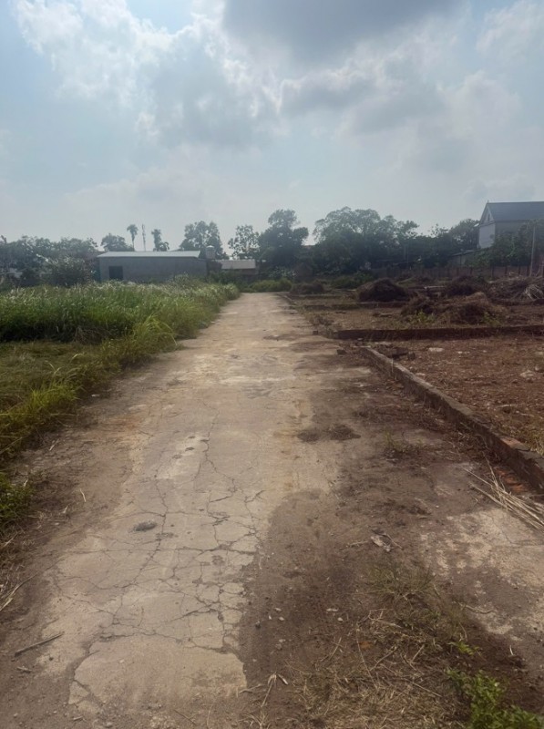 Chính chủ cần bán 303m2 đất đẹp tại Lập Trí, Kim Anh - Vị trí tiềm năng - Khu vực phát triển mạnh