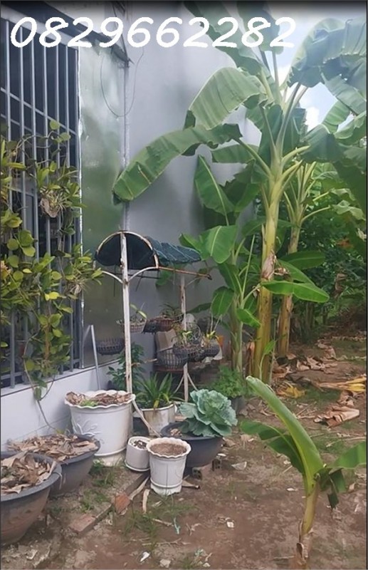 Bán Nền Thổ cư khóm Tân Thuận. Phường, Sa Đéc, Đồng Tháp, 77m2, Sổ Hồng. Giá chỉ 1.1 Tỷ!