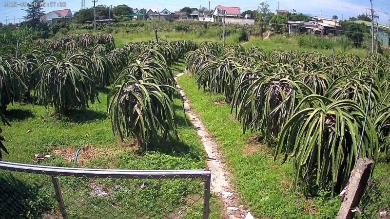 ĐẤT ĐẸP - GIÁ TỐT - CẦN BÁN NHANH LÔ ĐẤT VỊ TRÍ ĐẮC ĐỊA Tại HÀM THUẬN NAM, Bình Thuận