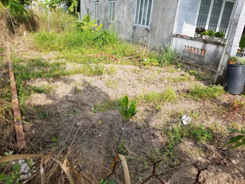 BÁN ĐẤT NỀN CHÍNH CHỦ GIÁ TỐT TẠI BÀU BÀNG – VỊ TRÍ ĐẸP, ĐƯỜNG BÀN CỜ, PHÙ HỢP XÂY NHÀ Ở HOẶC ĐẦU TƯ