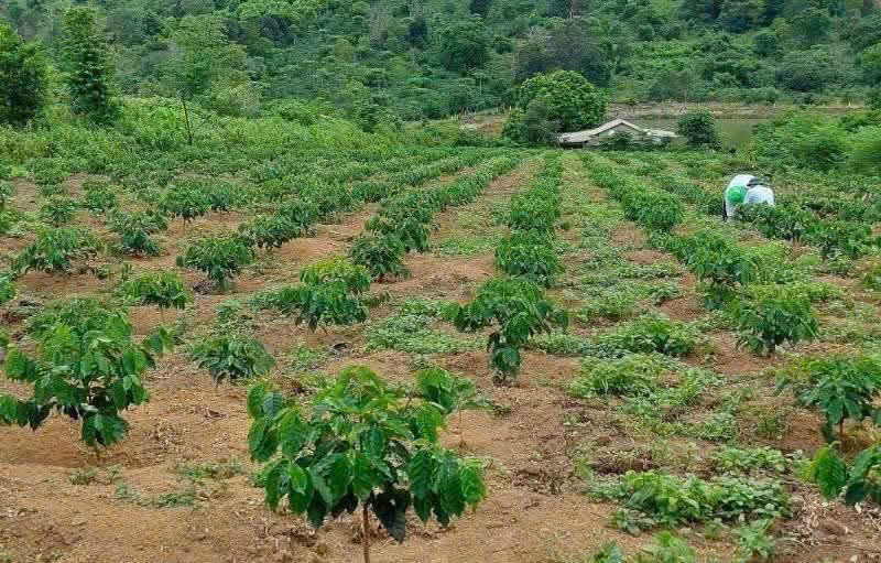 Đất Đẹp Giá Tốt Đón Sóng Lớn
