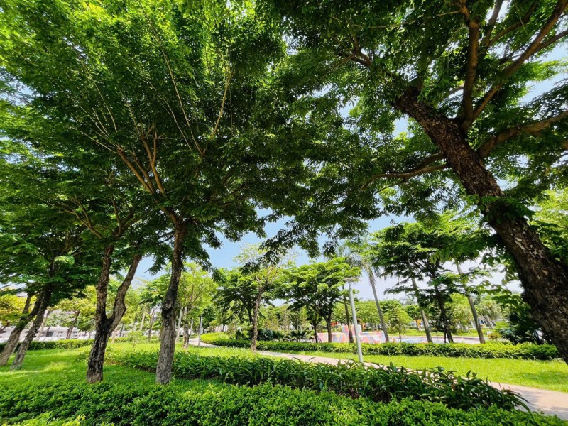 CHÍNH CHỦ BÁN CĂN HỘ VIEW TRIỆU ĐÔ TẠI ANLAND LAKE VIEW – SỐNG XANH GIỮA TRUNG TÂM HÀ ĐÔNG