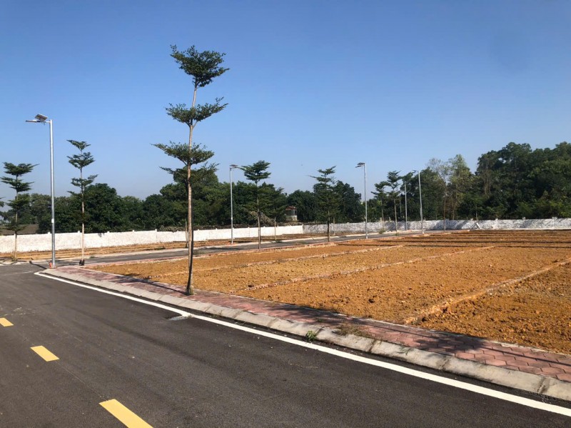 Mở bán quỹ đất đẹp nhất Phú Cát, sát Metro City,  mặt đường 446, giá cực tốt