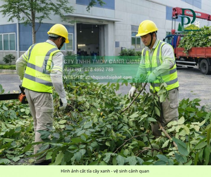 Dịch vụ chăm sóc cây xanh cắt cỏ cảnh quan nhà xưởng Đồng Nai chuyên nghiệp