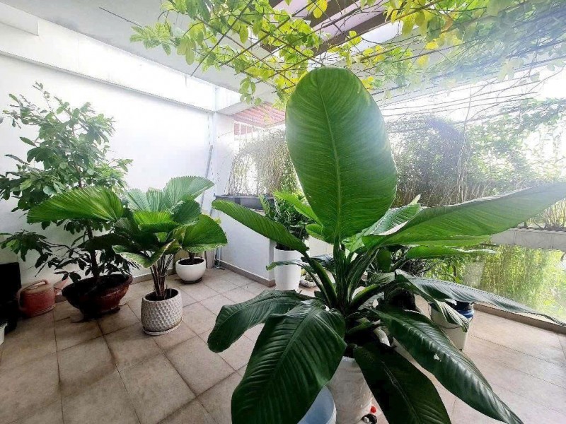 CHÍNH CHỦ BÁN NHÀ VỪA Ở VỪA KINH  DOANH ĐƯỢC Tại Xã Bình Hưng, Bình Chánh, tp HCM