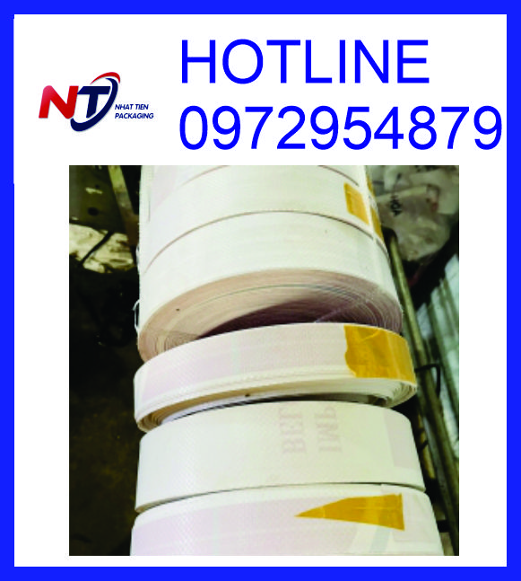 Nẹp PP, manh PP bọc thép