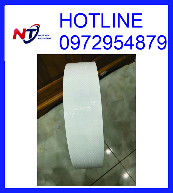 Nẹp PP, manh PP bọc thép
