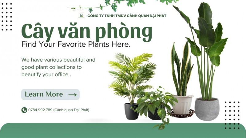 Dịch Vụ Chăm Sóc Cây Xanh Văn Phòng – Tòa Nhà Tại Đồng Nai