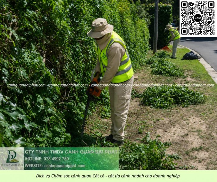 Dịch Vụ Chăm Sóc Cây Xanh – Cắt Cỏ Nhà Máy KCN Long Thành Đồng Nai