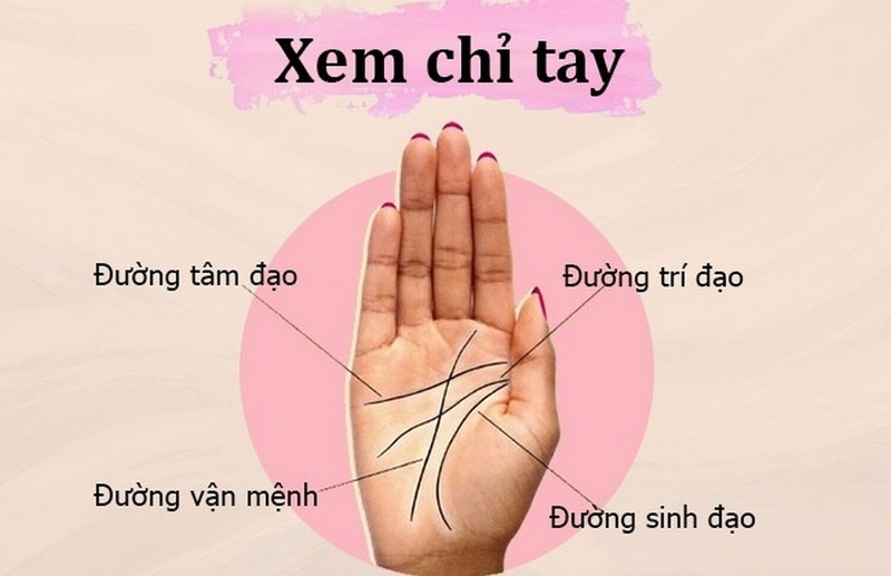 Cách xem chỉ tay sinh đạo đoán được vận mệnh và sức khỏe