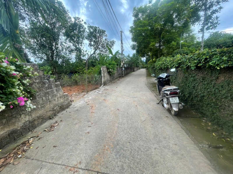 Xu hướng sống xanh 2026 - Bỏ phố về quê xây villa đồng quê - Hưởng trọn cuộc sống an nhiên