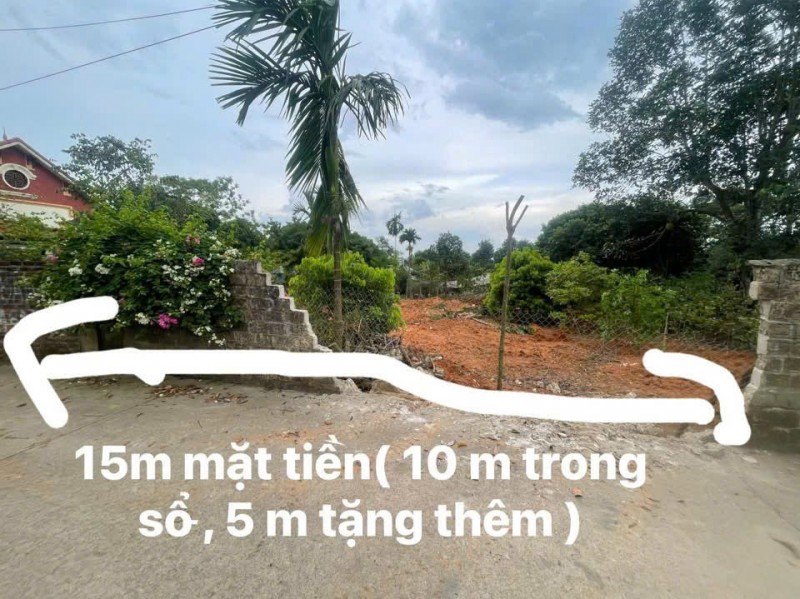 Xu hướng sống xanh 2026 - Bỏ phố về quê xây villa đồng quê - Hưởng trọn cuộc sống an nhiên