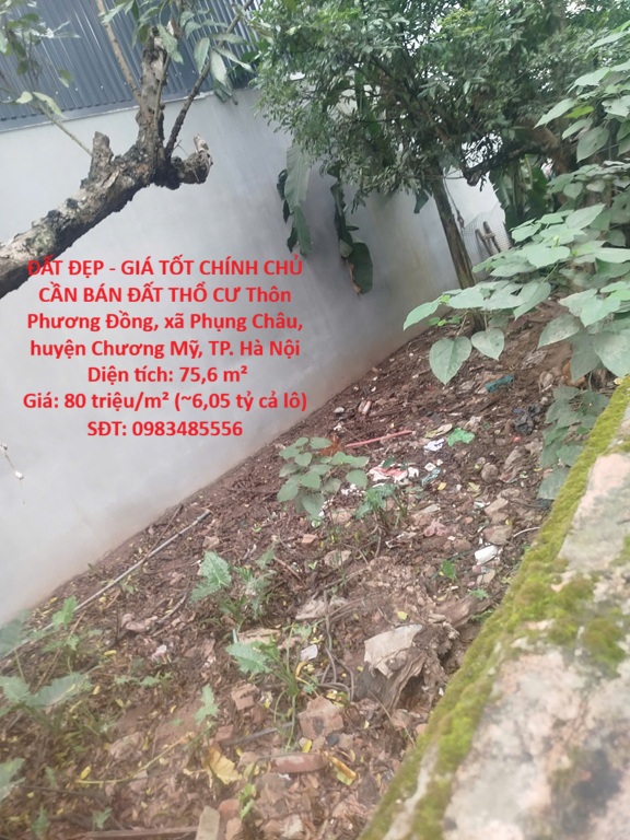 ĐẤT ĐẸP - GIÁ TỐT CHÍNH CHỦ CẦN BÁN ĐẤT THỔ CƯ -xã  PHỤNG CHÂU, CHƯƠNG MỸ, HÀ NỘI