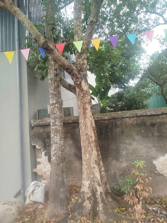 ĐẤT ĐẸP - GIÁ TỐT CHÍNH CHỦ CẦN BÁN ĐẤT THỔ CƯ -xã  PHỤNG CHÂU, CHƯƠNG MỸ, HÀ NỘI